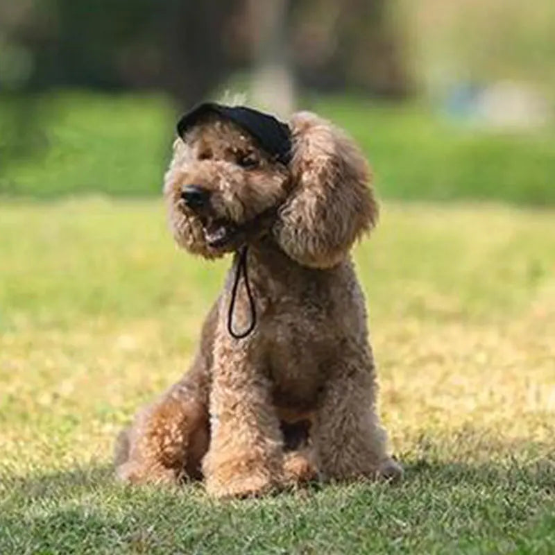 כובע קיץ לכלבים - Doggo